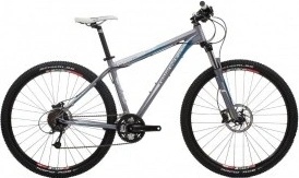 Diamondback ascent 29er sale