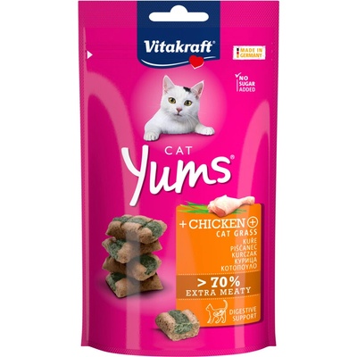 Vitakraft Yums kuracie s mačacou trávou 40 g