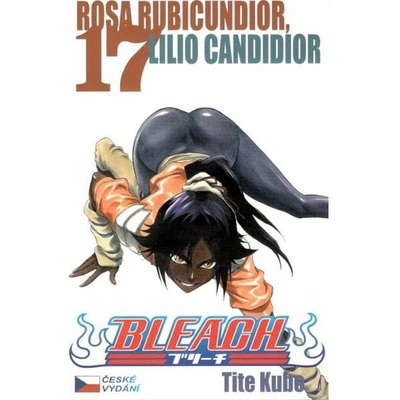 Bleach 17 - Tite Kubo