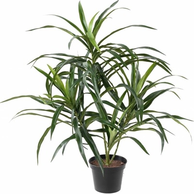 Umelá palma Dracena Anita, 45cm