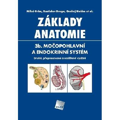Základy anatomie 3b.