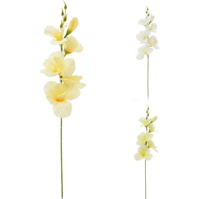 KS GLADIOLA BIELO-KRÉMOVO-MARHULOVÝ MIX/3F 55CM