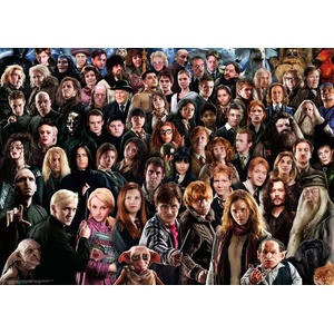 Ravensburger - Puzzle Harry Potter Challenge - 1 000 piese