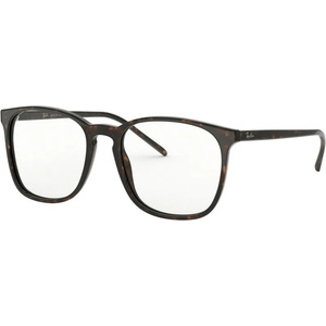 Ray-Ban RX5387 2012
