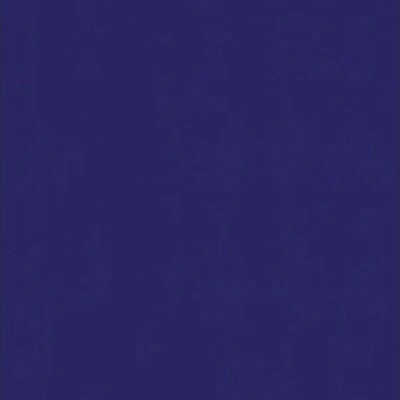 Rako WAA19555.1 1m²