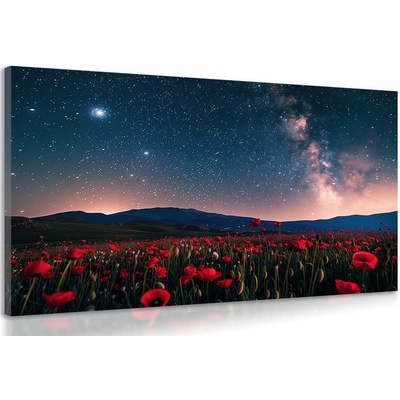 Obraz louka divokých máků pod hvězdami - 60x40