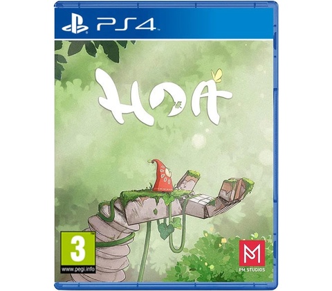 Hoa