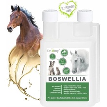 Dromy Boswellia liquid 500 ml