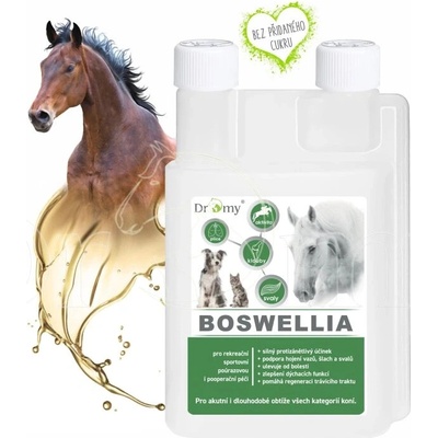 Dromy Boswellia liquid 500 ml