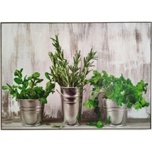 Bondecor Obraz tisk na papír lepený na MDF desku, 50x70 cm, Bylinky