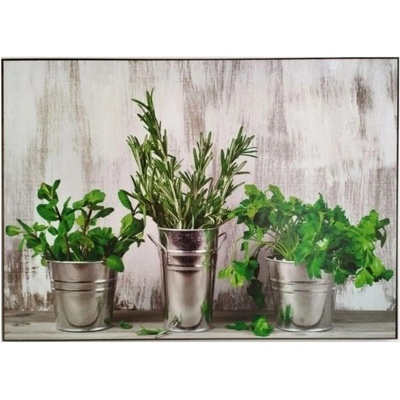 Bondecor Obraz tisk na papír lepený na MDF desku, 50x70 cm, Bylinky