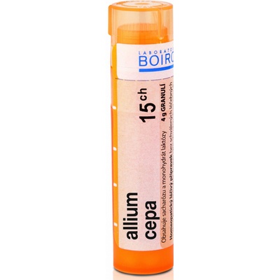 Allium Cepa gra.1 x 4 g 15CH