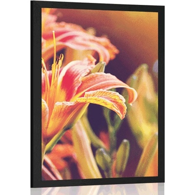 Plakát krásně kvetoucí květiny v zahradě - 20x30 white