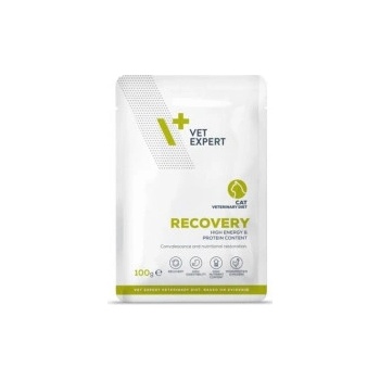 VetExpert VD cat Recovery 100 g