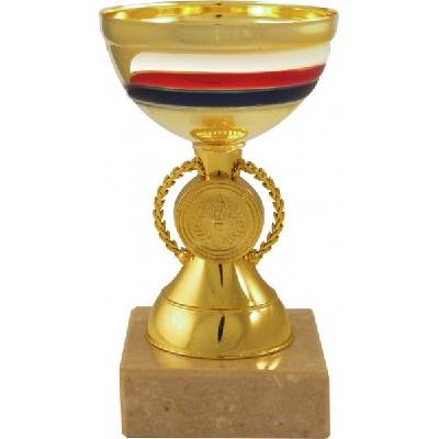 Sportovní pohár PET034 s českou trikolórou
