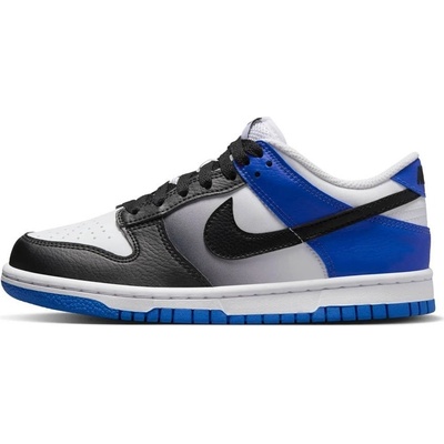 Nike Dunk Low (GS)