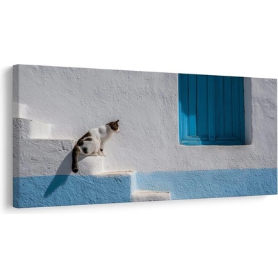 Obraz klidná kočka u okna - 120x60