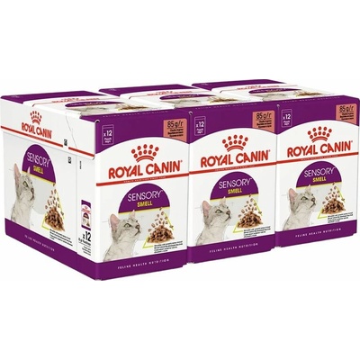 Royal Canin FHN Sensory Smell Gravy 36 x 85 g
