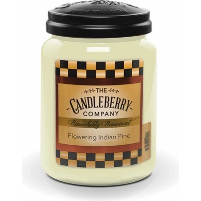 Candleberry Flowering Indian Pine 624 g