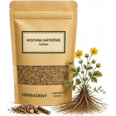 Herbadent Mochna nátržník kořen 50 g