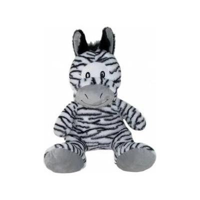 SUN-DAY ZEBRA