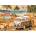 EUROGRAPHICS - Puzzle VW Be Happy - 1 000 piese