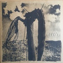 Fear Falls Burning - Function Collapse LP