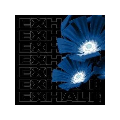 Various Artists - Exhale Va004 LP