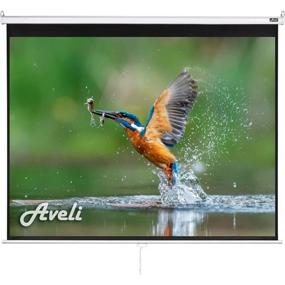 Aveli 200x150cm 4:3 98" XRT-00105