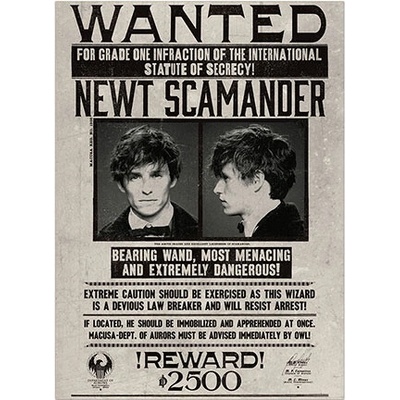 Distrineo Plagát Newt Scamander - Fantastické zvery