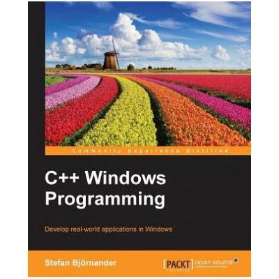 C++ Windows Programming