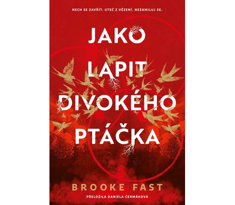 Jako lapit divokého ptáčka