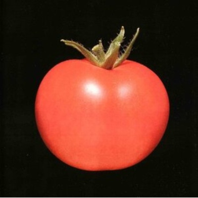 Chronophage - Chronophage CD