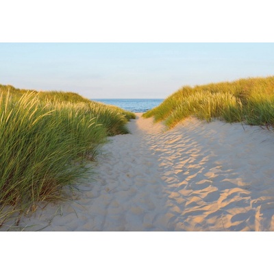 KOMAR 8-995 Papírové fototapety Sandy Path rozměr 368 cm x 254 cm