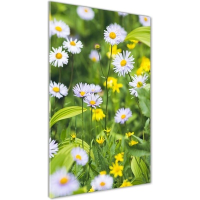 Vertikálny foto obraz fotografie na skle Sedmokrásky 50x100 cm