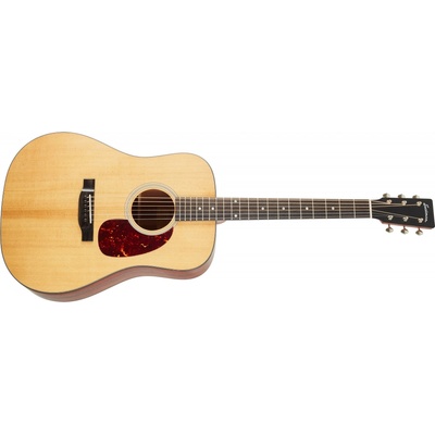 Eastman E1D