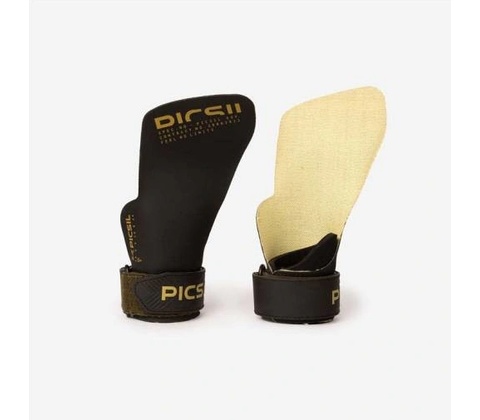 Picsil Phoenix
