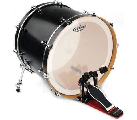 Evans BD24GB4C