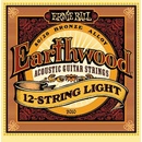 Ernie Ball 2010