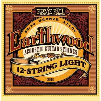 Ernie Ball 2010