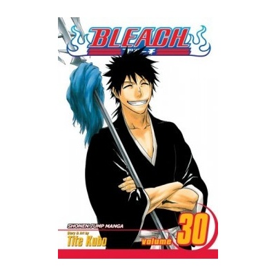 Bleach Volume 30 Tite Kubo