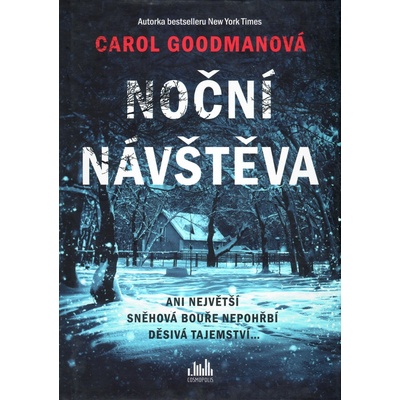 Noční návštěva - Carol Goodman