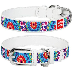 COLLAR Кожен нашийник WAUDOG Flowers - бял 2, 5 см x 38 - 49 см
