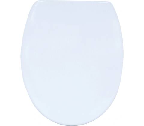 MSV 140982