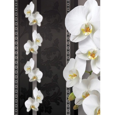 Preinterier Fototapeta panel - PL0114 - Biele kvety na tmavom pozadí vlies - 206cm x 275cm