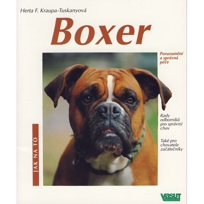 Boxer - Jak na to