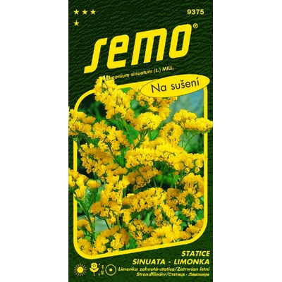 Semo Limonka Statica sinuata Gold Coast žltá 0,5 g