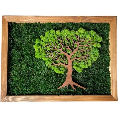Machový obraz Tree 40x30cm