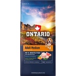ONTARIO Adult Medium Fish & Brown Rice 12 кг