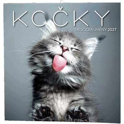 nástěnný Kočky 30cm x 30cm BNL1-27 2027